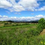 das Bierzo Gebiet ist grün mit milden Temperaturen