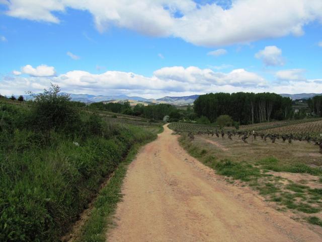 am Horizont taucht Cacabelos auf