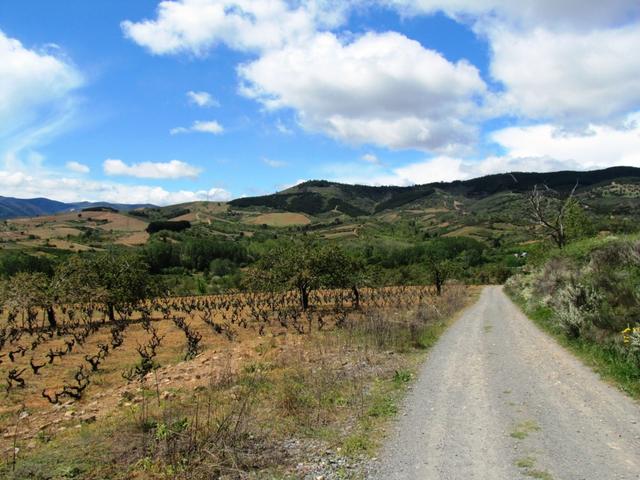 wir geniessen die letzten Kilometer im Gebiet des Bierzos in vollen Zügen