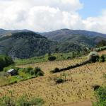 kurz vor Villafranca del Bierzo. Die kleine Stadt befindet sich unten im Tal