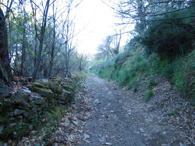 der "camino duro" beim steilsten Abschnitt