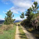 auf dem "camino duro" Natur pur. Beim Hauptweg, Autobahn und Hauptstrasse