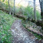 auf diesem Wegstück laufen wir auf dem alten gepflasterten Pilgerweg