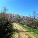 wir nehmen die Variante über den Monte Pozo de Area und laufen nicht über die Asphaltstrasse nach Liñares