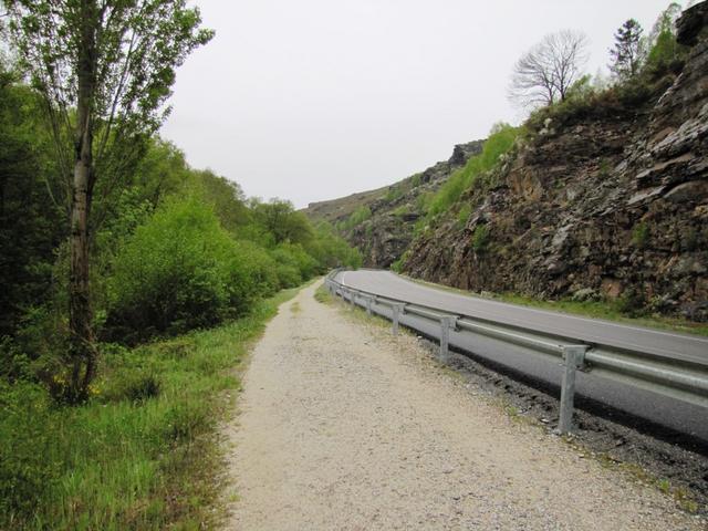 ein kurzes Stück Weg muss man von Triacastela Richtung Samos neben der Hauptstrasse laufen