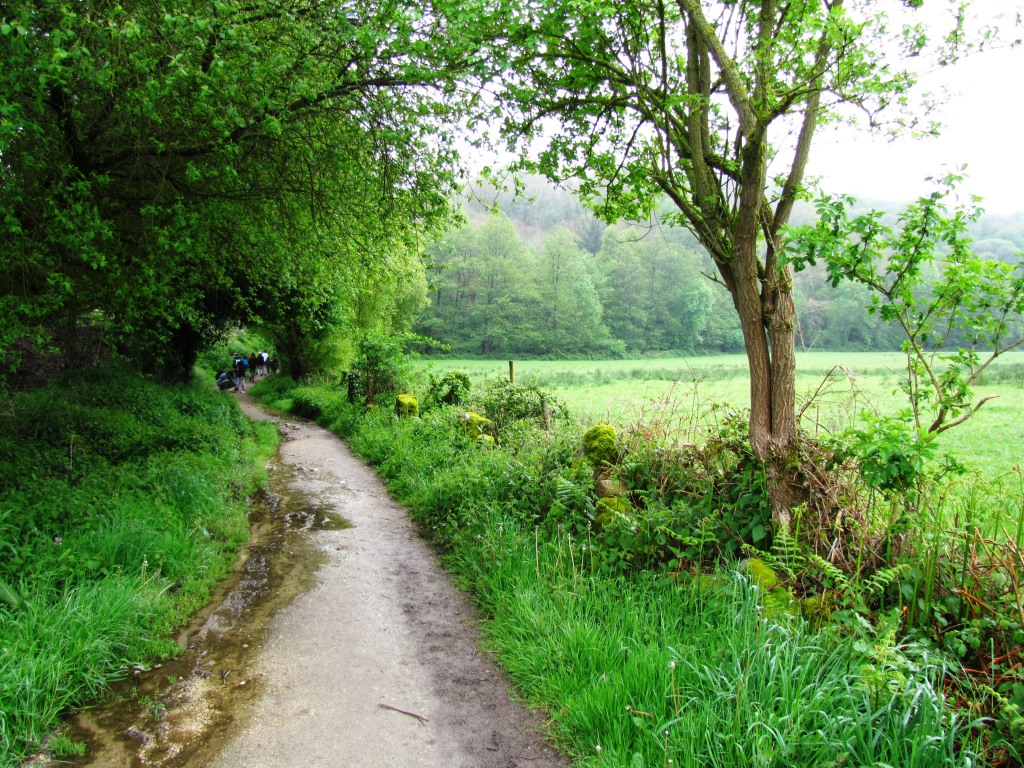 auf dem Weg nach Barbadelo