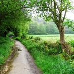 auf dem Weg nach Barbadelo