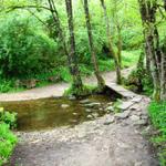 wir tauchen in einem sehr schönen Wald hinein, bei dem wir diverse Bäche überqueren müssen