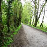 nach jedem Dorf oder Wegkreuzung sieht der camino immer wieder anders aus, das lässt Langeweile nie aufkommen