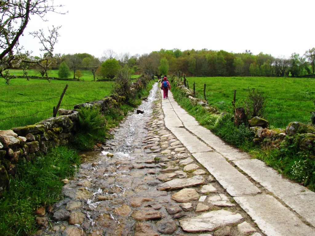 gut ausgebauter Weg. Links rauscht der Bach vorbei. Rechts laufen die Pilger Richtung Ferreiros