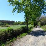 in der Nähe von Castañeda. Die Kalksteine von Triacastela wurden hier gebrannt und nach Santiago gebracht