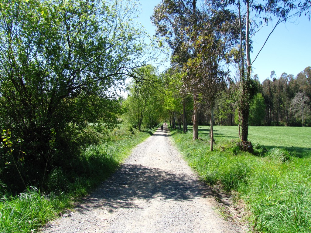 auf dem Weg nach Ribadiso