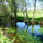 die kleine romanische Brücke führt über den Río Iso