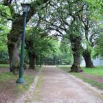der camino führt über die Grünanlage "Carballeira de San Lourenzo"
