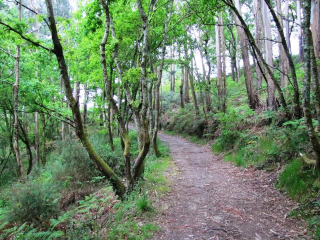 der Weg führt nun bergan nach Sarela do Baixo