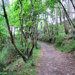 der Weg führt nun bergan nach Sarela do Baixo