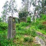 über einen Waldpfad steigen wir bergan zur Anhöhe Alto do Vento