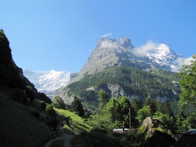 einfach traumhaft. Links Fiescherhorn, rechts Eigernordwand