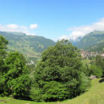 Breitbildfoto von Grindelwald