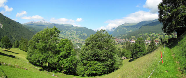 Breitbildfoto von Grindelwald