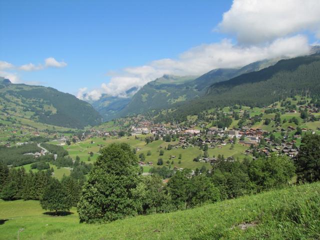 Blick auf das schöne Grindelwald