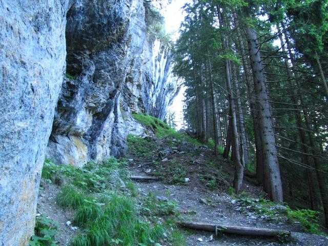 der Weg wird nun steiler