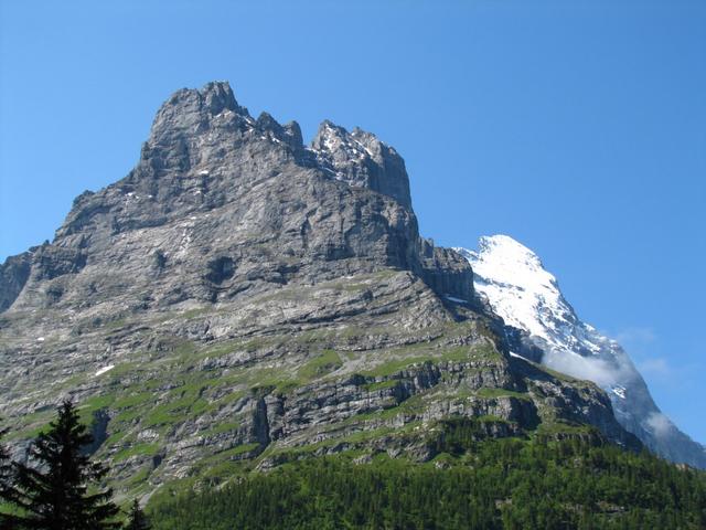 Blick zum Hörnli und den schneebedeckten Eiger