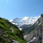 was für eine schöne Aussicht. Fiescherhorn, Walchergrat und Walcherhorn mit Fiescherwand