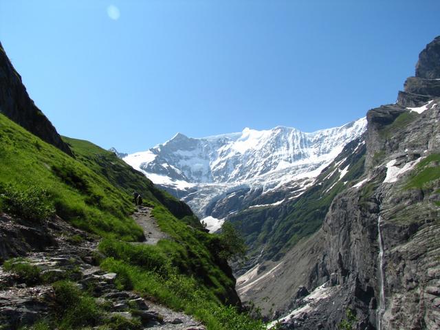 was für eine schöne Aussicht. Fiescherhorn, Walchergrat und Walcherhorn mit Fiescherwand