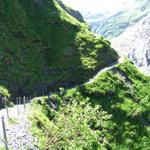 weiter geht unsere Wanderung zur Bäregg