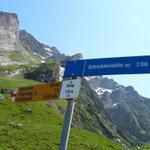 wir wandern weiter. Wir gehen aber nicht bis zur Schreckhornhütte. Dort waren wir schon