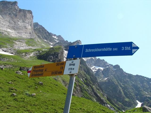 wir wandern weiter. Wir gehen aber nicht bis zur Schreckhornhütte. Dort waren wir schon