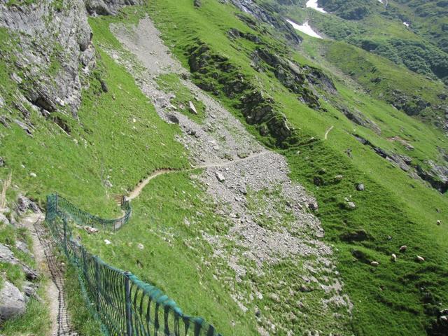 wir wandern noch weiter bis zur Bänisegg