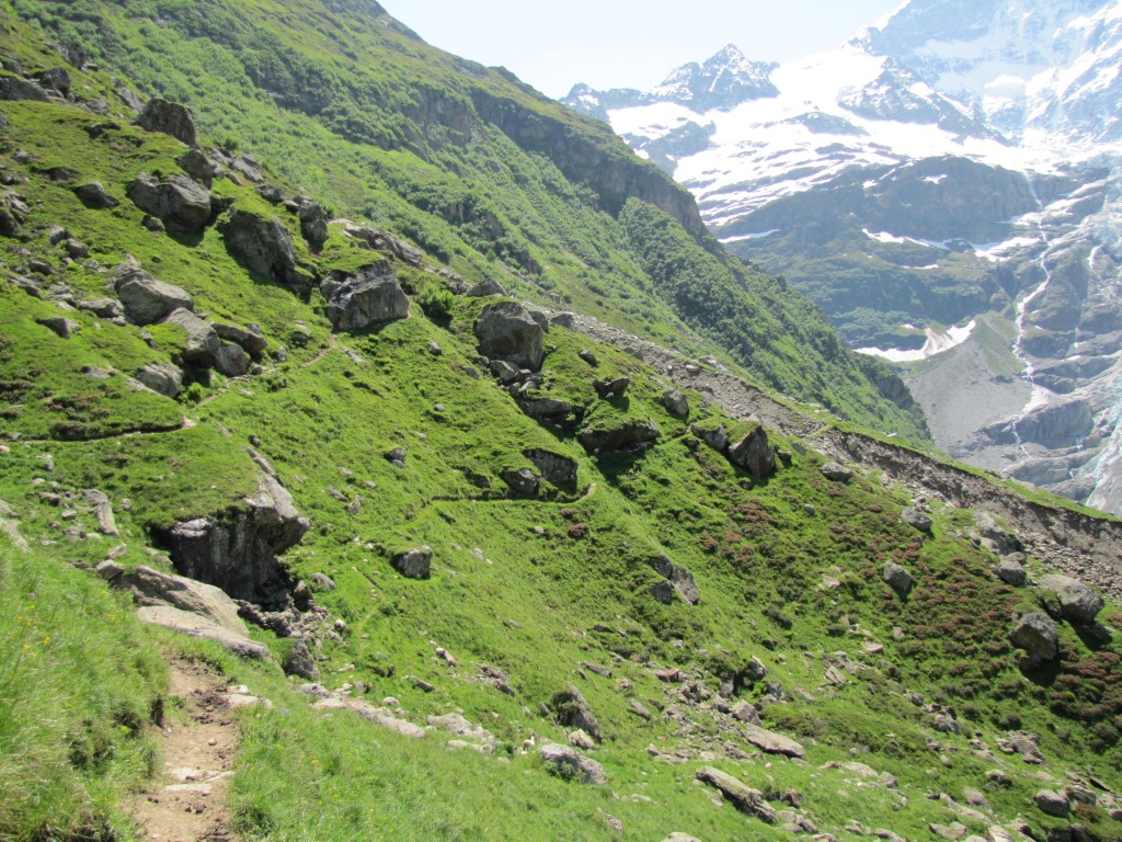 ein guter Wanderweg führt uns auf fast gleichbleibender Höhe weiter Richtung Bänisegg