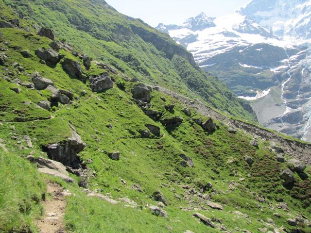 ein guter Wanderweg führt uns auf fast gleichbleibender Höhe weiter Richtung Bänisegg