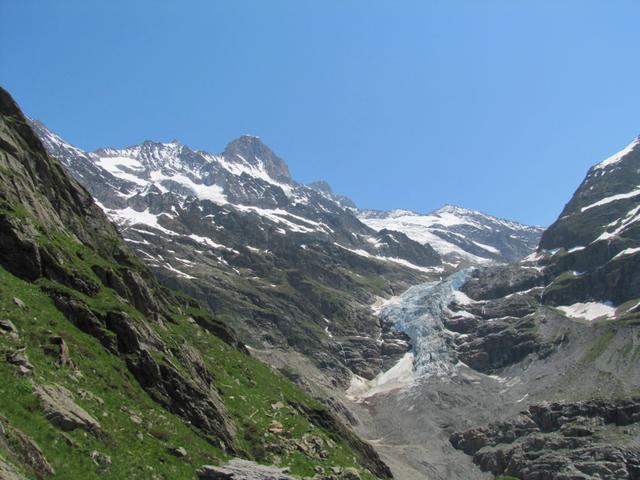 links die Gletscherzunge vom Unterer Grindelwaldgletscher und das Schreckhorn