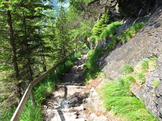 wir haben die Weggabelung bei Punkt 1468 M.ü.M. Wysseflüö hinter uns gelassen...