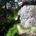 und wandern nun auf einem schönen Höhenweg zur Bergstation der Pfingsteggbahn