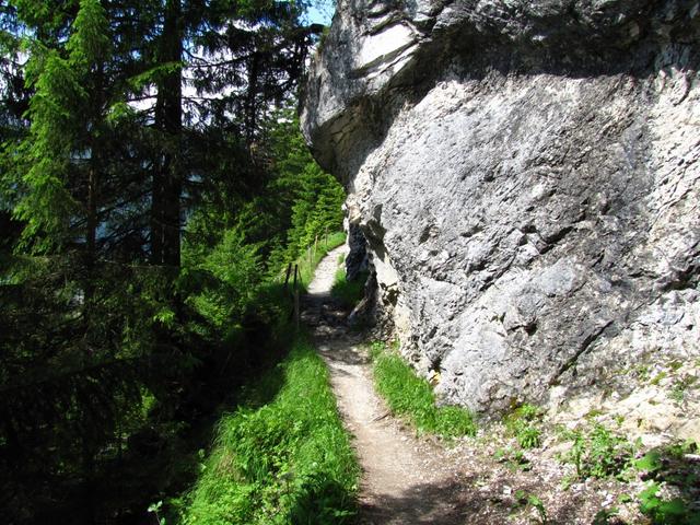 und wandern nun auf einem schönen Höhenweg zur Bergstation der Pfingsteggbahn