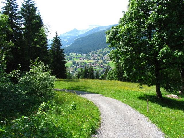 wir haben die Bergstation der Pfingsteggbahn hinter uns gelassen und wandern nun Richtung Rubiweid