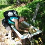 auf Rubiweid 1310 m.ü.M. kühlt sich Mäusi mit frischem Wasser ab