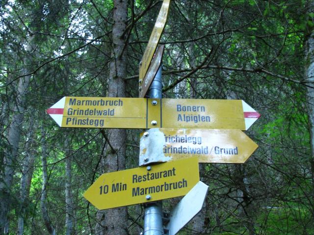 ein dichtes Wanderwegnetz ist hier vorhanden. Wir haben das Ziel Alpiglen