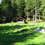 schöner Rastplatz bei Lägerli 1508 m.ü.M.