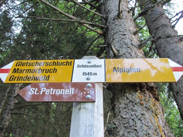 Wegweiser beim Schüssellouwinegraben 1545 m.ü.M.