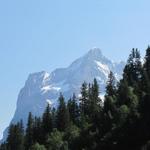 Blick nach rechts zum Wetterhorn