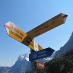 unser nächstes Ziel heisst nun, Eigergletscher