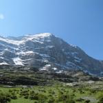 Blick hinauf zum Eiger und Eigernordwand