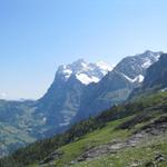 Blick zum Wetterhorn und Mättenberg