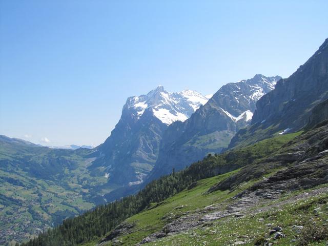 Blick zum Wetterhorn und Mättenberg