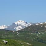 die Aussicht reicht bis zum Schilthorn. Dort oben waren wir auch schon